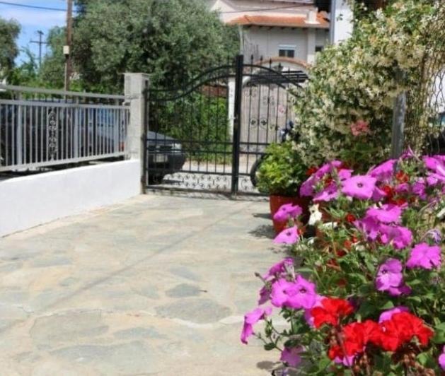 Evelyn Home Λιμένας Εξωτερικό φωτογραφία