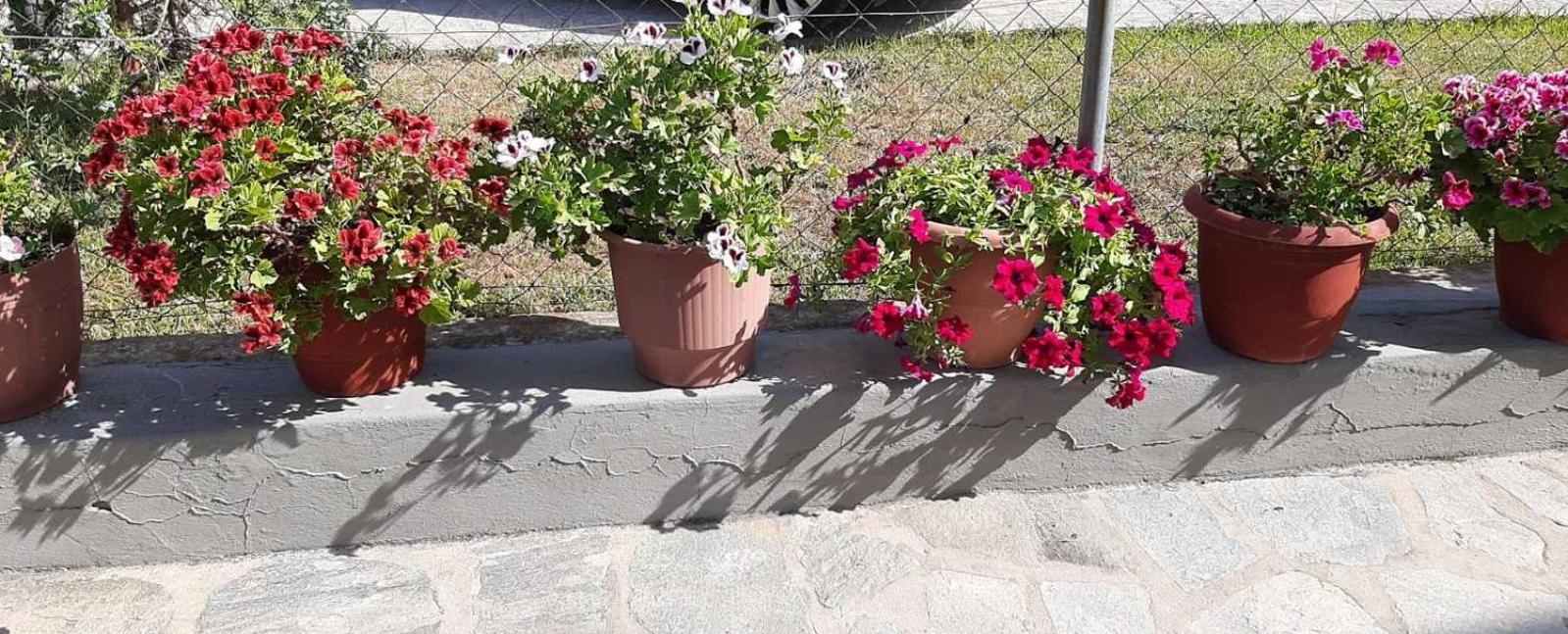 Evelyn Home Λιμένας Εξωτερικό φωτογραφία